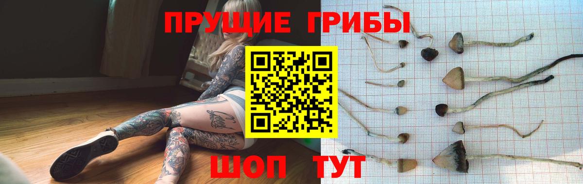 Галлюциногенные грибы GOLDEN TEACHER  Вход с VPN  Шуя 